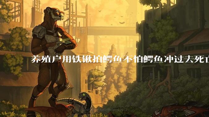 养殖户用铁锹拍鳄鱼不怕鳄鱼冲过去死亡翻滚吗？