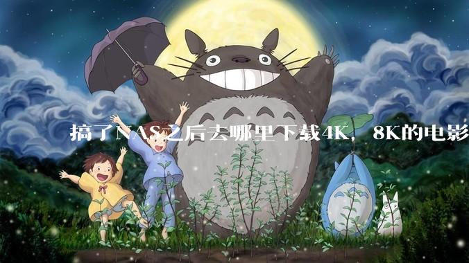 搞了NAS之后去哪里下载4K，8K的电影？