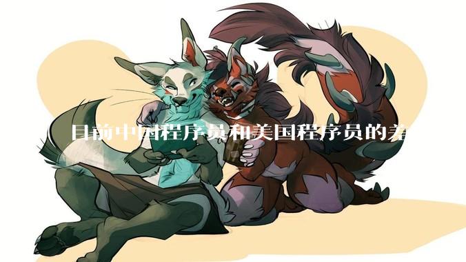 目前中国程序员和美国程序员的差距在哪里？