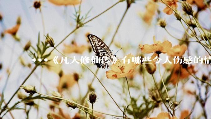 ***《凡人修仙传》有哪些令人伤感的情节？