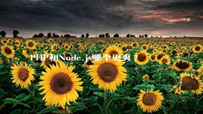 PHP和Node.js哪个更爽?