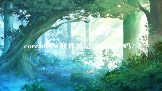 coreldraw软件算是冷门软件吗？