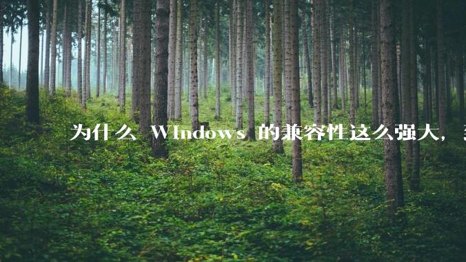 为什么 Windows 的兼容性这么强大，到底用了什么技术？