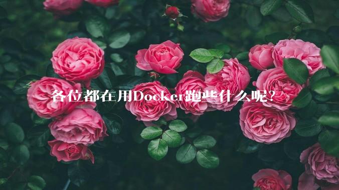 各位都在用Docker跑些什么呢？