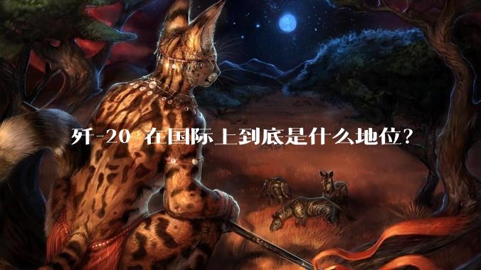 歼-20 在国际上到底是什么地位？