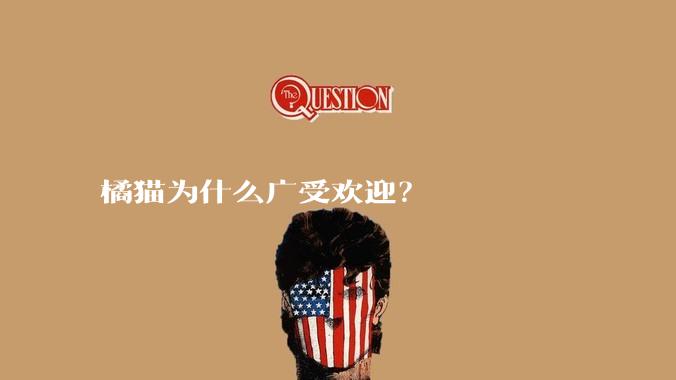 橘猫为什么广受欢迎？