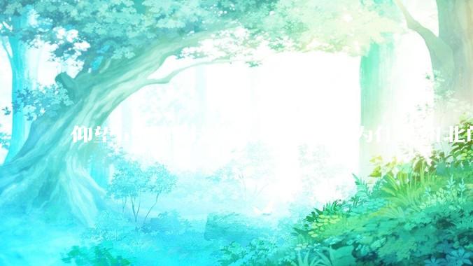 仰望u9明明技术实力更强，为什么纽北的成绩没有小米su7ultra好？