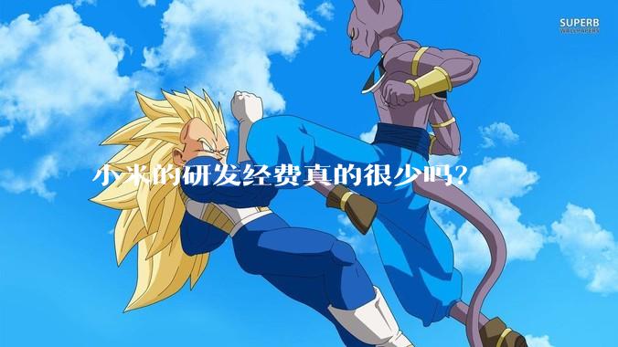 小米的研发经费真的很少吗？