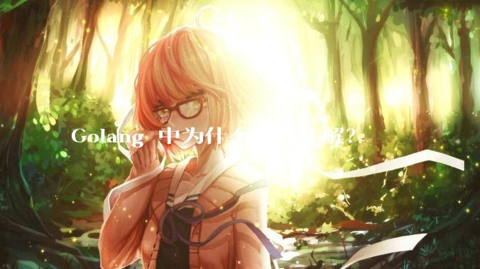 Golang 中为什么没有注解？