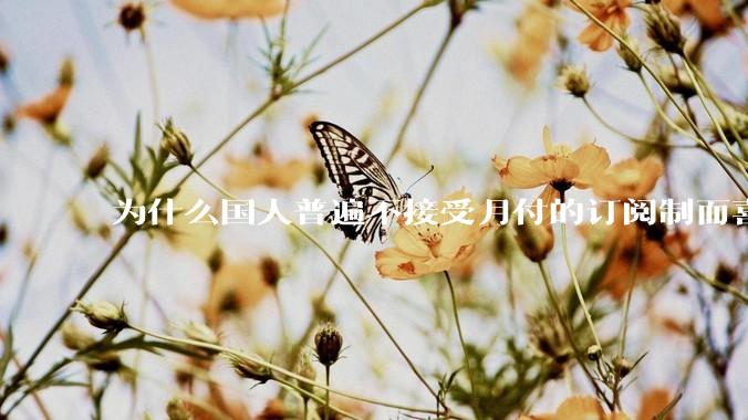 为什么国人普遍不接受月付的订阅制而喜欢一口价买断制呢？